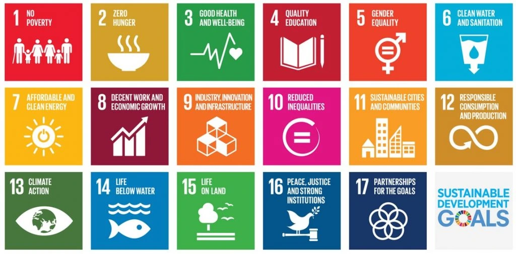 Sustainable Development Goals (SDGs)